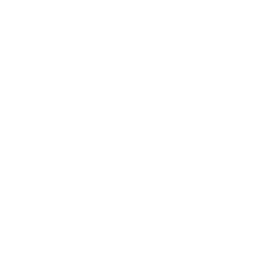 Fast & Flexible Execution